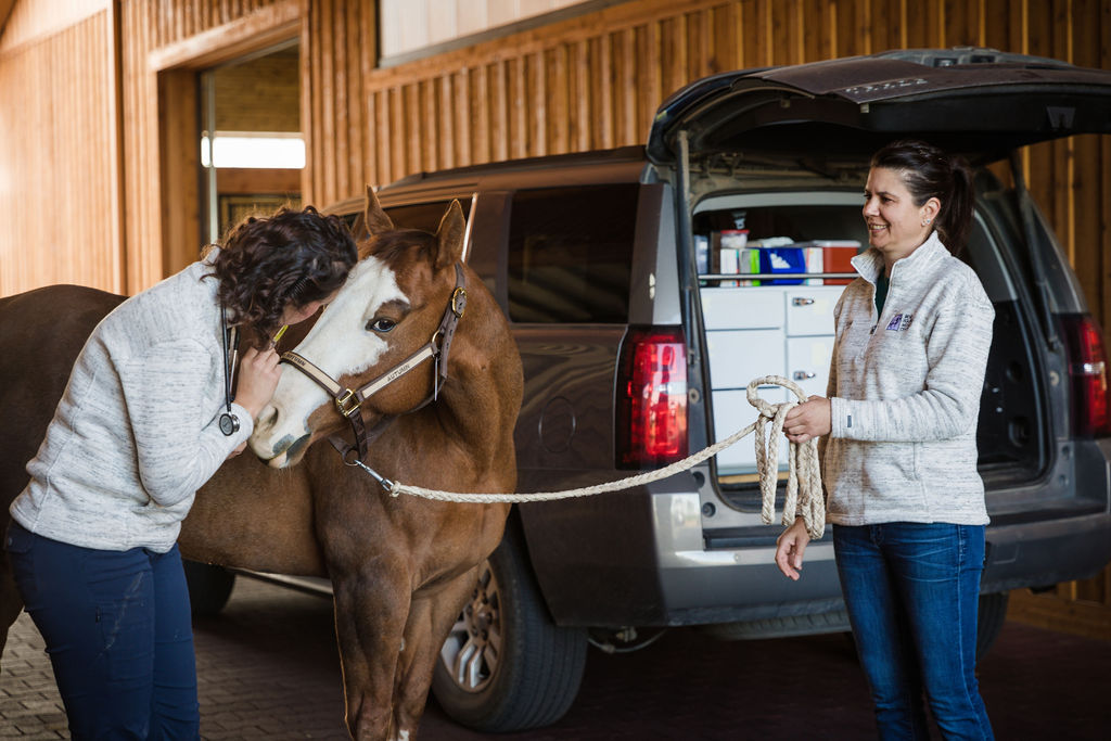 veterinarian and assistant visit with horse in the barn aisle