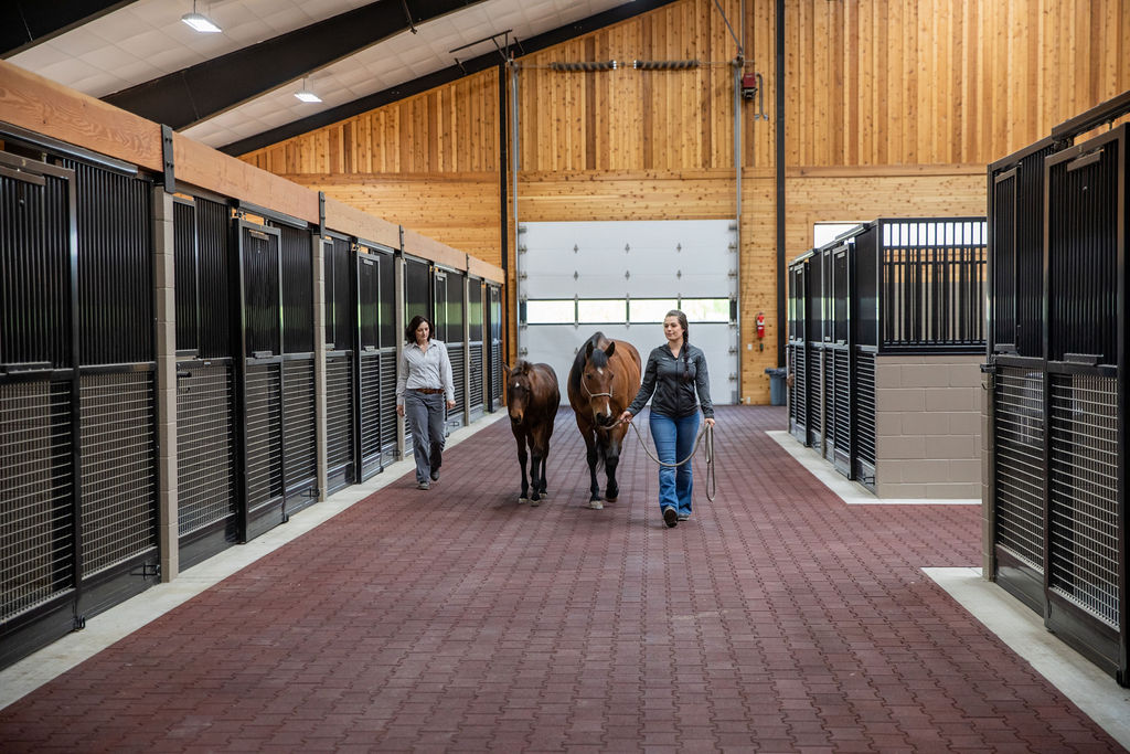 veterinarian and assistant walking down a barn aisle with bay mare and foal