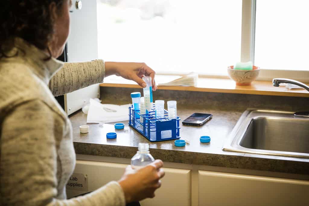 veterinarian testing a sample in the lab