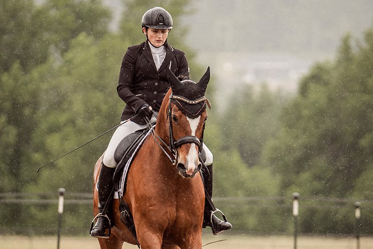 Dr, Wendy Krebs at a dressage show