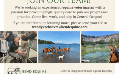 Now Hiring! Associate Equine Veterinarian