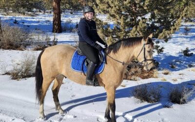 Horse Owner Continuing Education Series: Diagnostics Explained