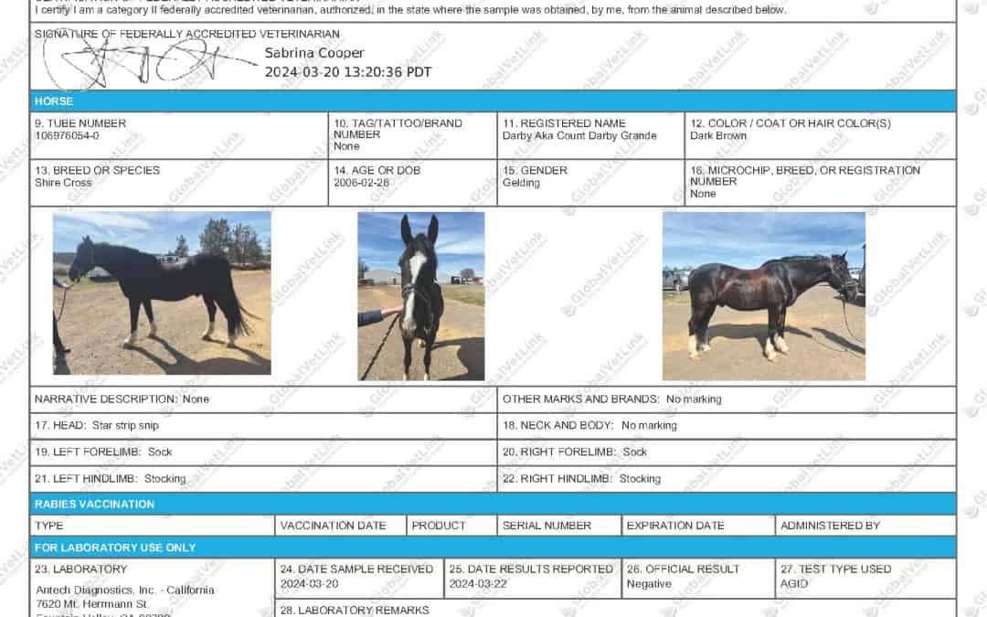 Equine Health Certificates and Coggins Tests