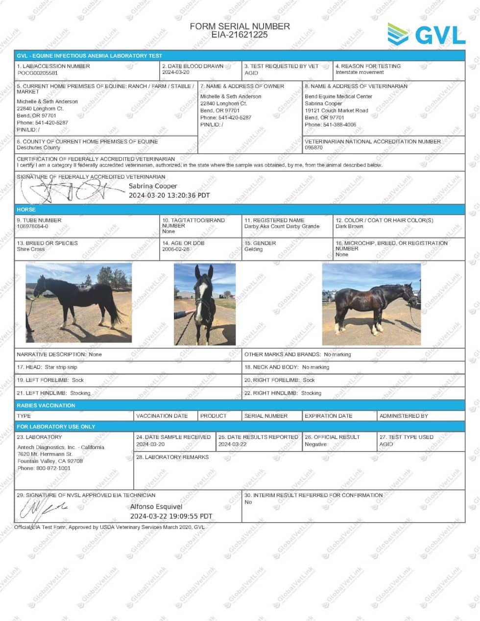 Equine Health Certificates and Coggins Tests Bend Equine Medical Center