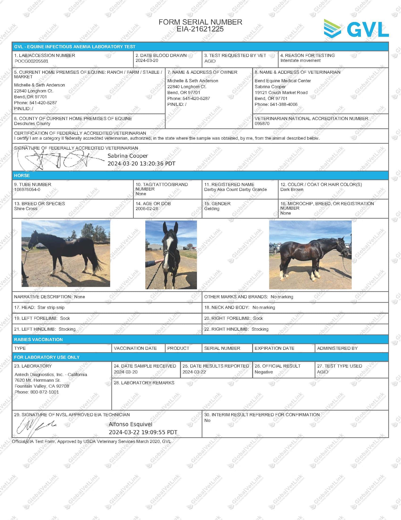 Equine Health Certificates and Coggins Tests Bend Equine Medical Center